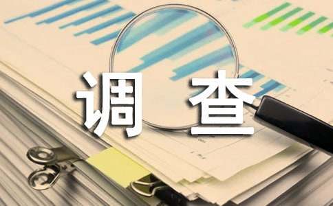 成语中的名人故事调查报告