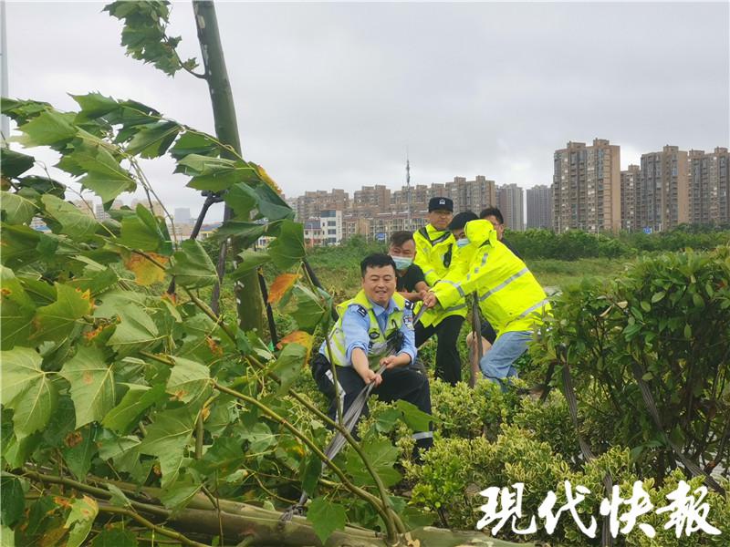 浙江彩钢房_彩钢房厂家_浙江彩钢瓦