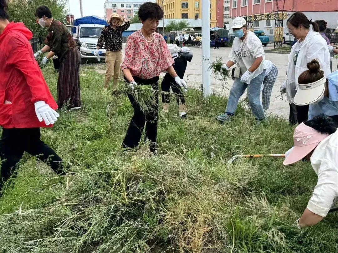 _内蒙古清理蒿草_幽灵行动荒野黑色行动奖励