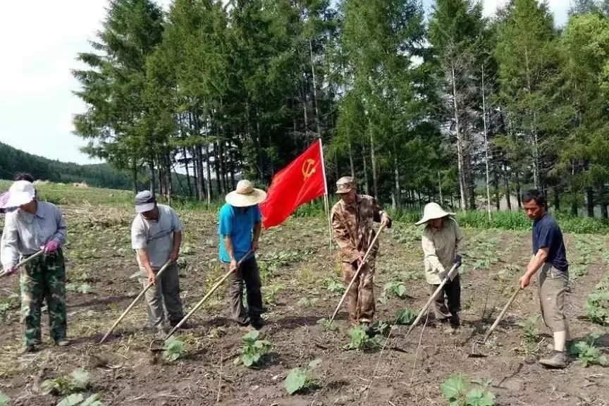 彩钢房延吉市哪里有卖_延吉市彩钢房_延吉市彩钢瓦联系电话