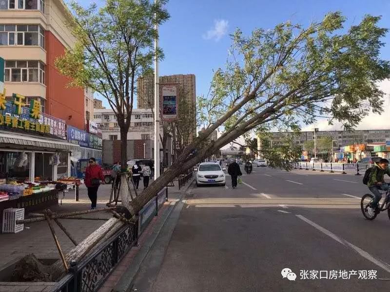 彩钢屋顶施工图_彩钢顶房屋结构图片_彩钢房屋顶结构