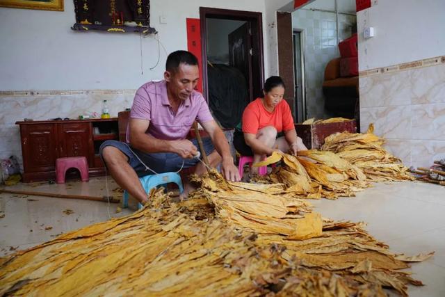 伦敦奥运举重中国金牌数__北京奥运男子举重视频