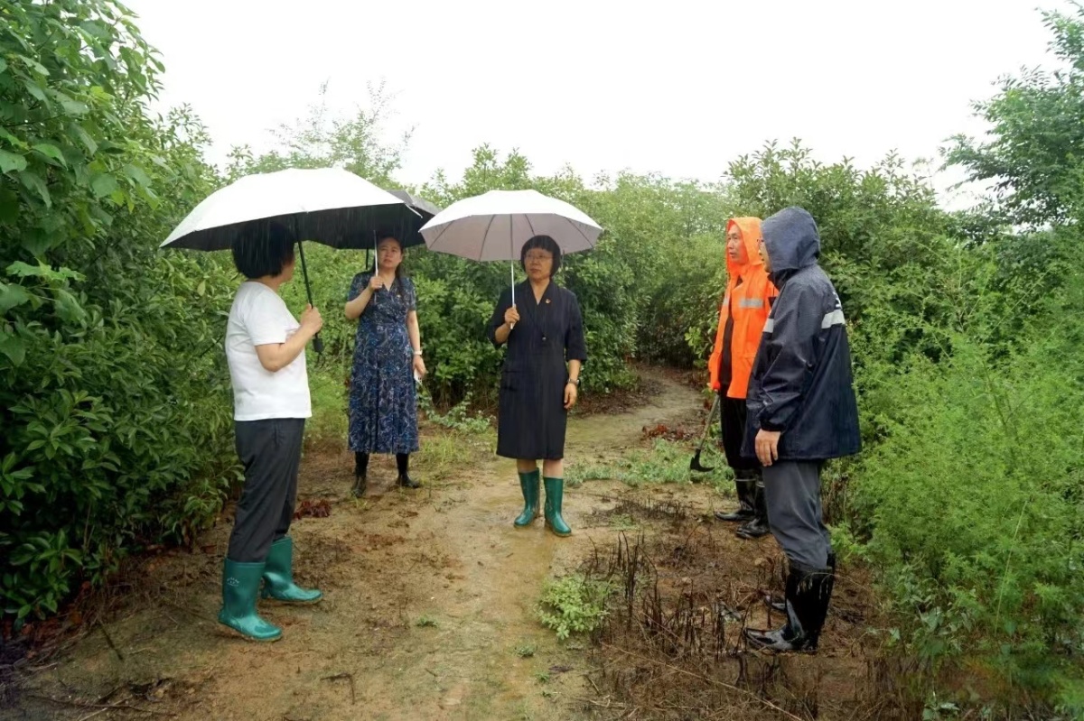 彩钢房三门峡销售_三门峡彩钢房_三门峡市彩钢瓦厂