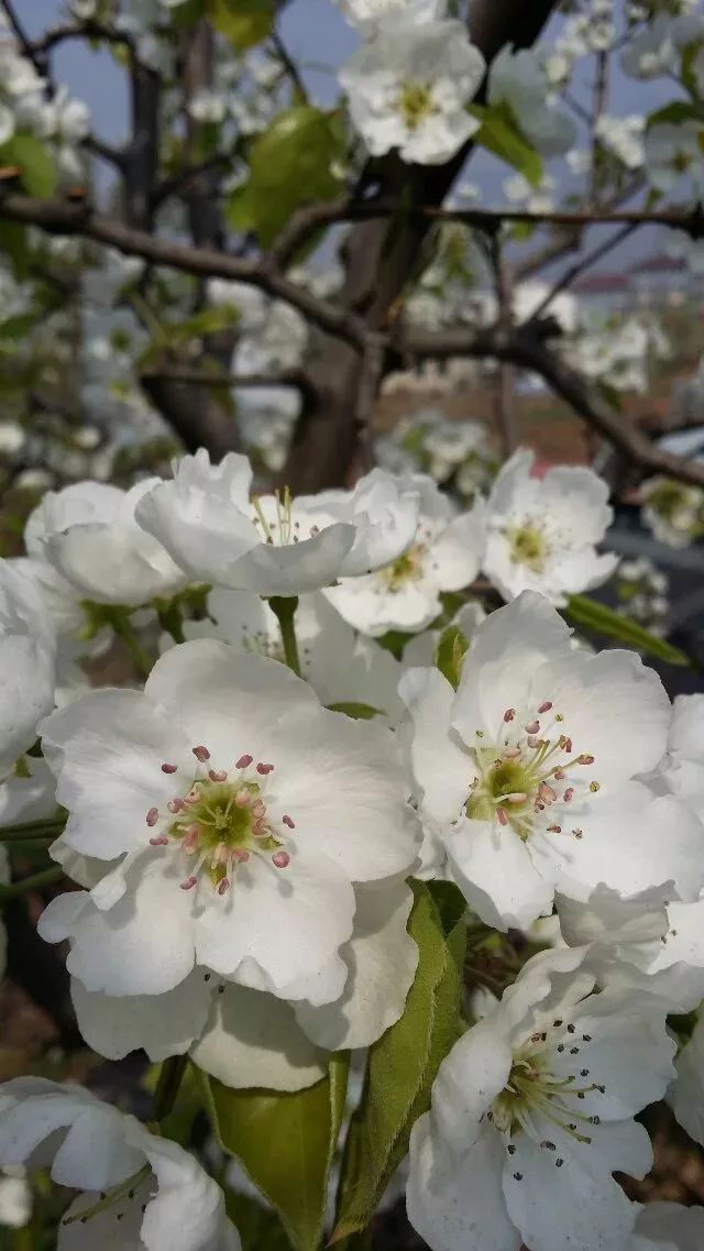 承德彩钢板价格表_承德市彩钢瓦厂有几家_承德彩钢房