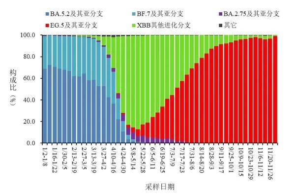 宁波大象软装_宁波大象生活集团_宁波大象生活服务有限公司