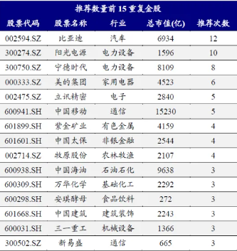 比亚迪股票上证指数_比亚迪股票中报_