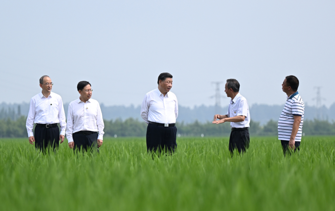 耕地上建彩钢房算违建吗_耕地上建彩钢房需要什么手续_耕地能盖彩钢房不