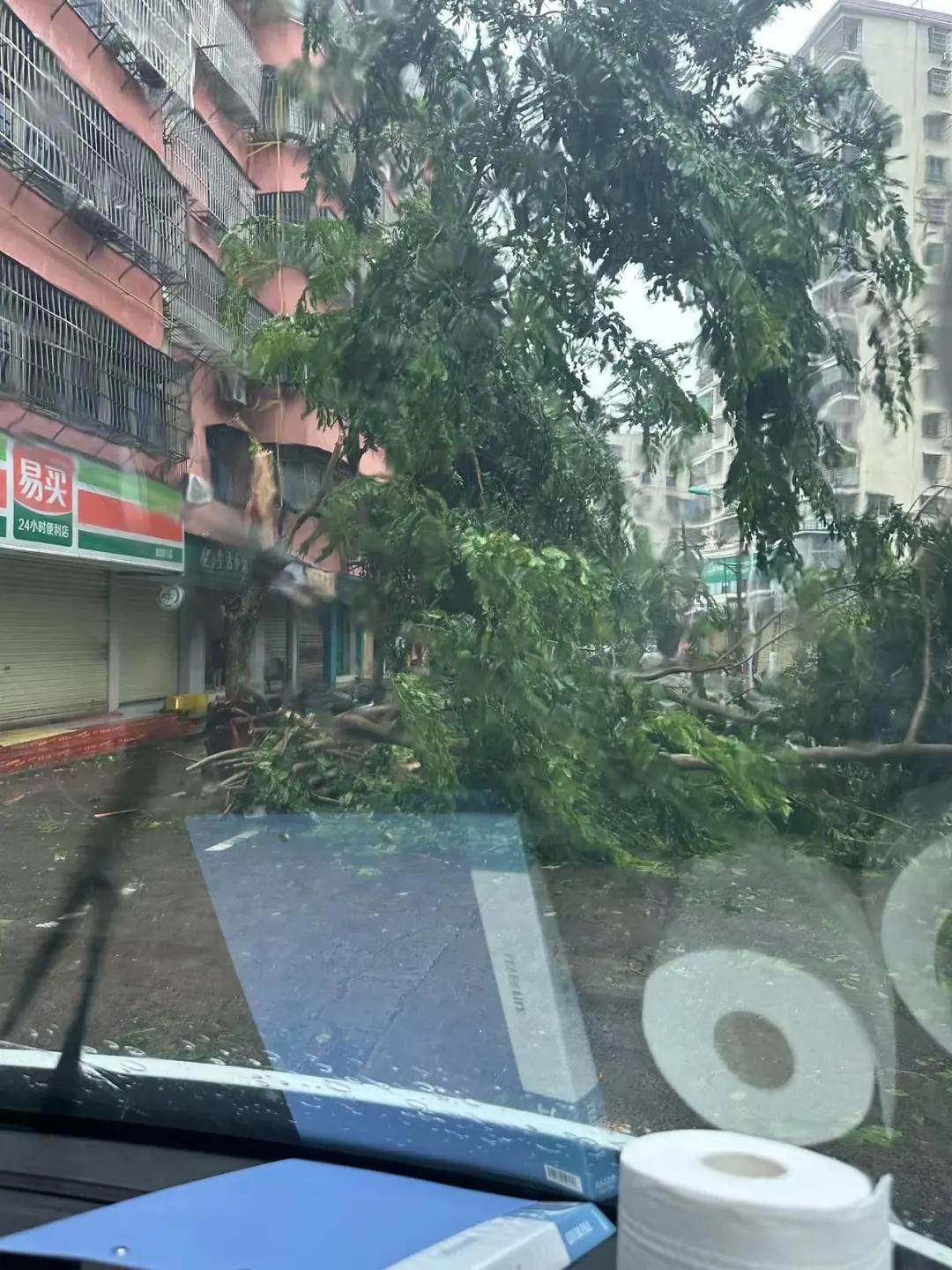 台风出生的宝宝取什么名字_台风出生宝宝命运如何_