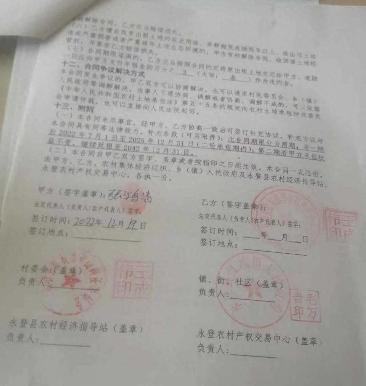 伪造村委会合同犯什么罪_村委会伪造合同怎样处理_