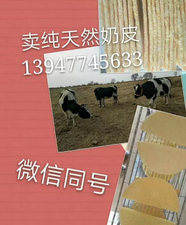 彩钢房平面图_彩钢房平面图手绘_彩钢房平面图怎么画