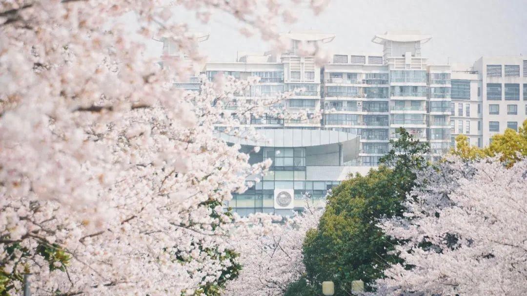 广州免试大学__同济大学章程