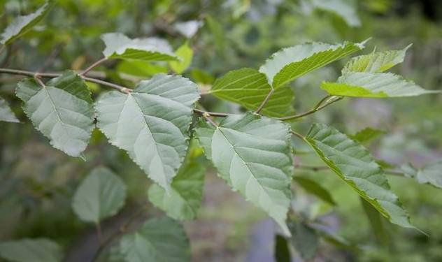 彩钢房合同范本_彩钢房合同协议怎么写_彩钢房合同