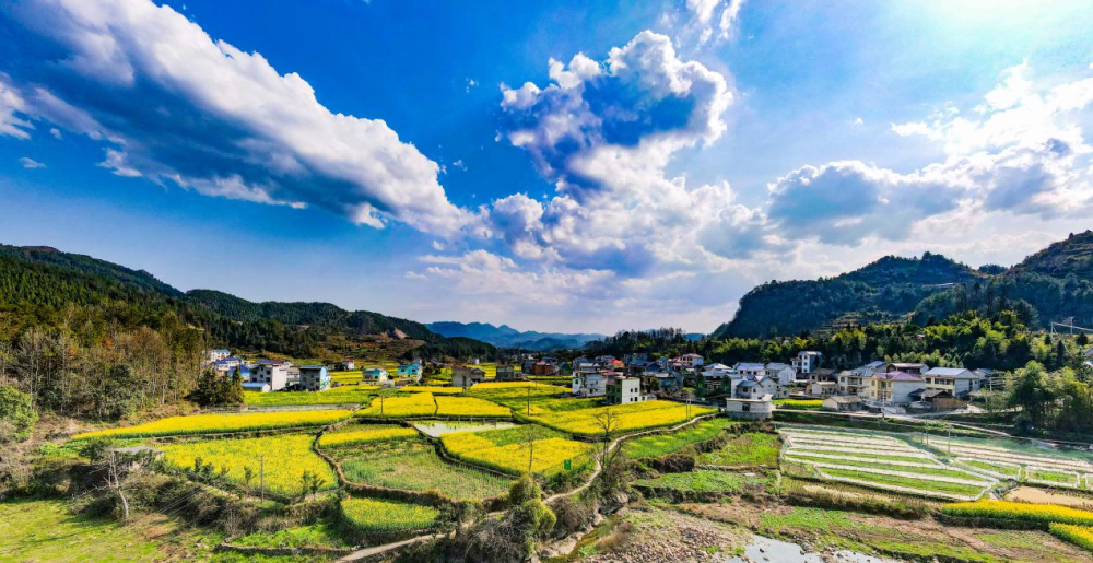 乡村振兴旅游先行_乡村振兴文旅先行_