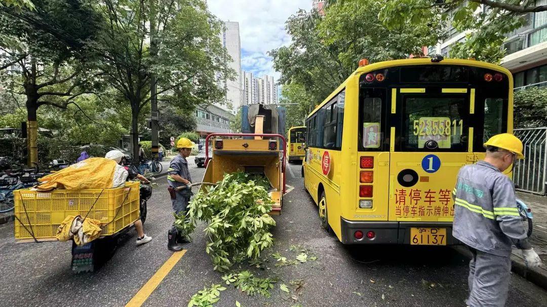 扶正树木降损失、清运废枝保畅通……这群普陀人在行动_扶正树木降损失、清运废枝保畅通……这群普陀人在行动_