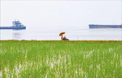 浙江彩钢瓦_浙江彩钢房_浙江彩钢板生产厂家