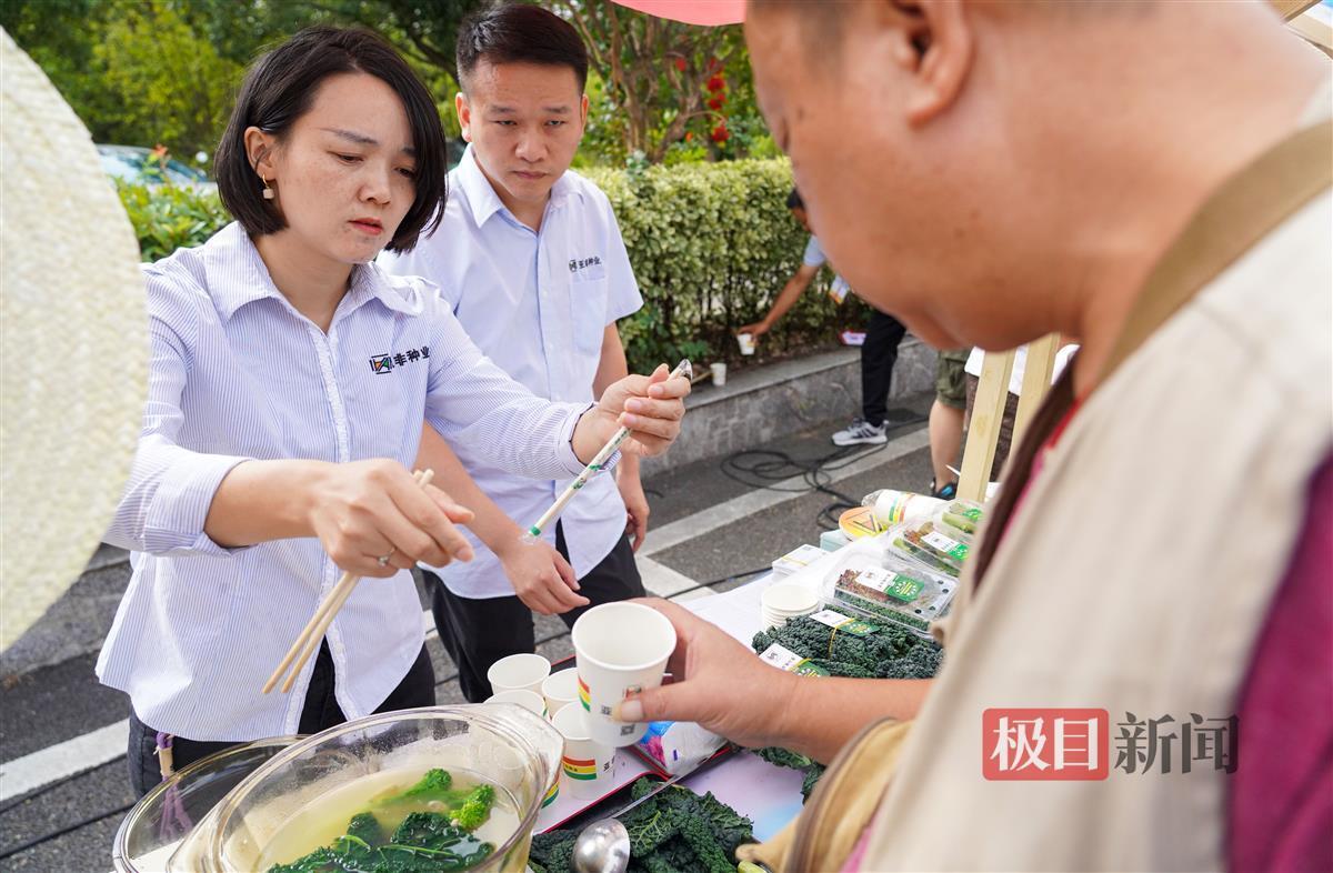 武汉菜排名__武汉十大菜