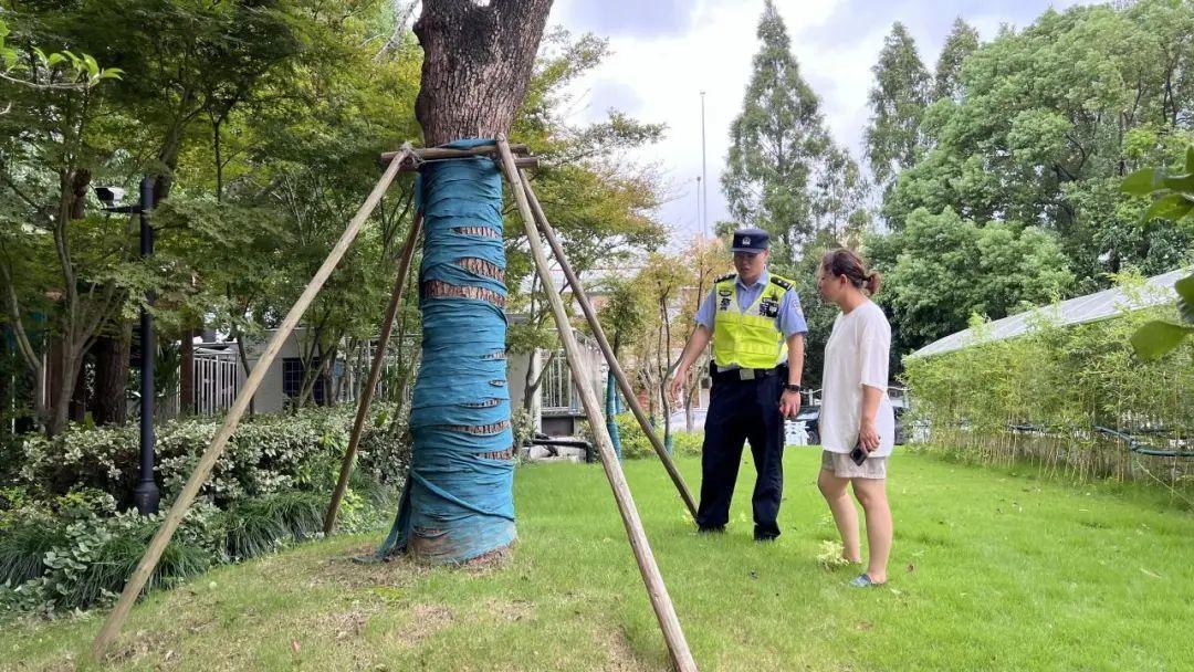 _应对台风“普拉桑”，杨浦全力做好防范工作_应对台风“普拉桑”，杨浦全力做好防范工作