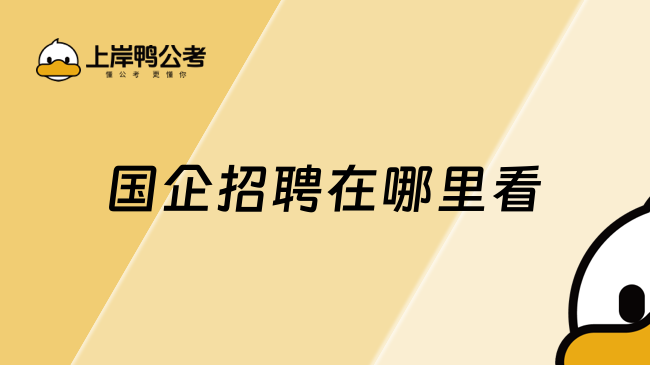 广饶招聘6月招聘司机_抚顺人才网招聘招聘_招聘