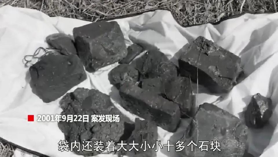 女子被迷晕后装进编织袋沉入湖底！警方披露23年前南京中山陵景区湖底沉尸案侦破始末_女子被迷晕后装进编织袋沉入湖底！警方披露23年前南京中山陵景区湖底沉尸案侦破始末_