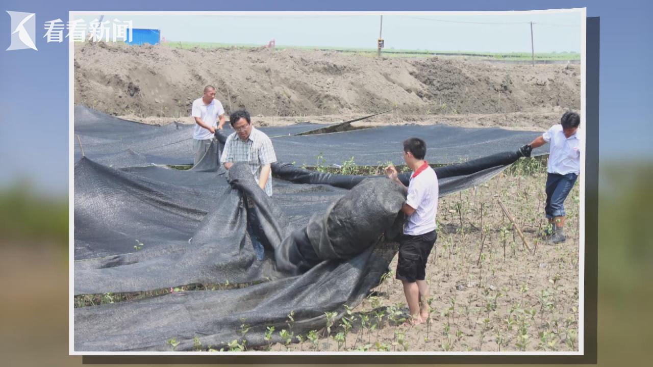 _钟老师的“红树梦”_钟老师的“红树梦”