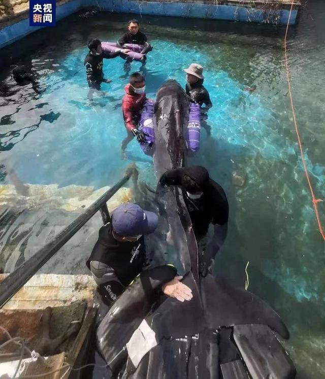 “一路前行”艺术展的启示：向往山海，关注环保_“一路前行”艺术展的启示：向往山海，关注环保_