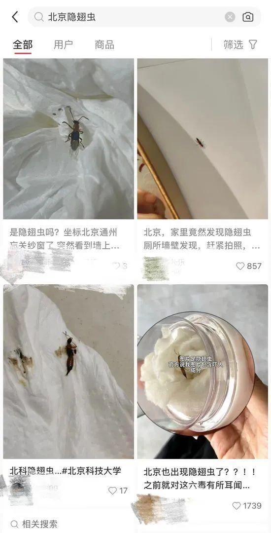 被眼镜毒蛇咬了怎么办__眼镜蛇咬伤为什么腐烂