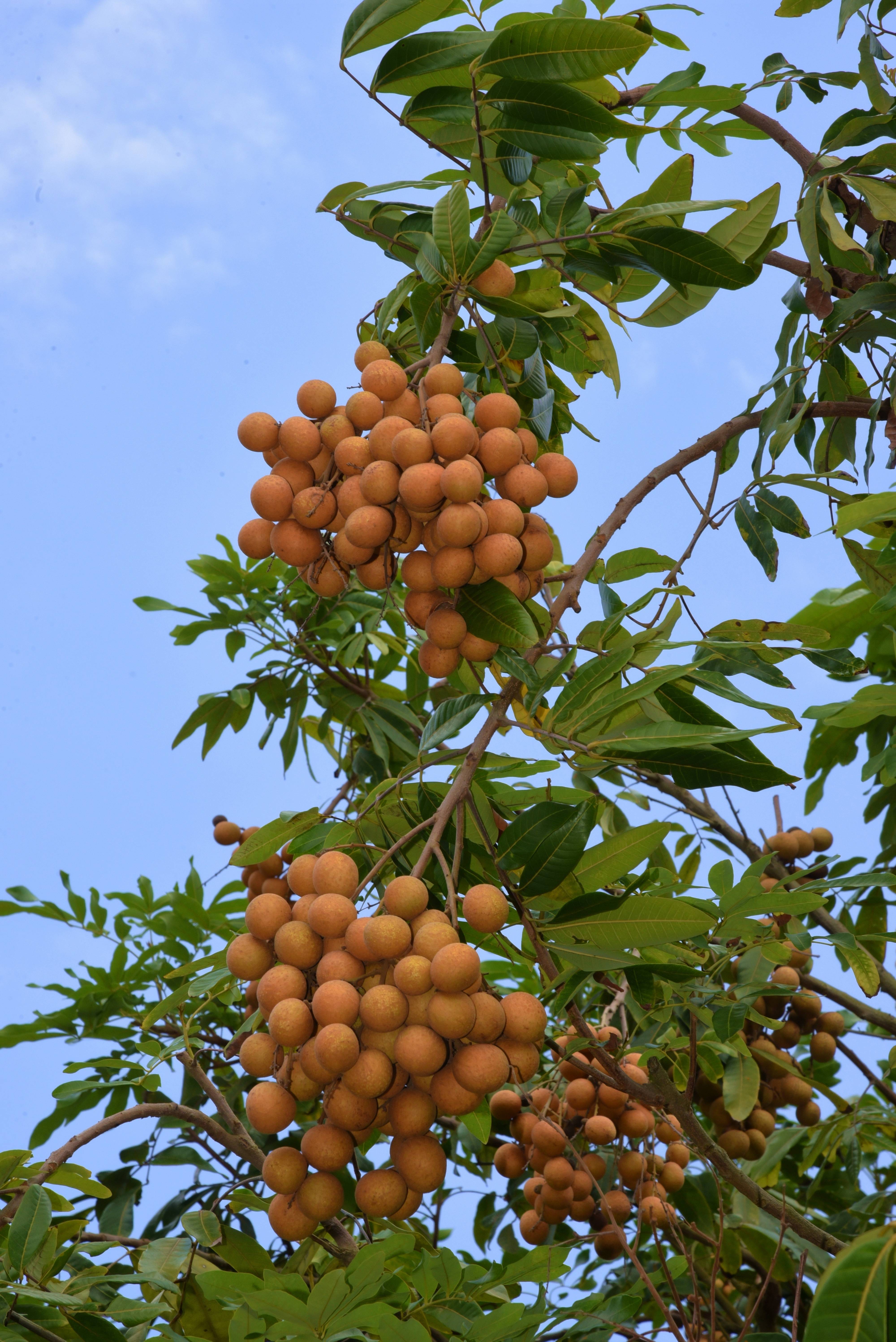 沈阳彩钢房_沈阳市彩钢房_沈阳彩钢房厂电话号码