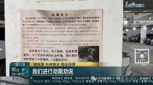 在禁止标语和监控下公然作案 地下车库成狗厕所了？上海一小区居民直呼太恶心！__在禁止标语和监控下公然作案 地下车库成狗厕所了？上海一小区居民直呼太恶心！