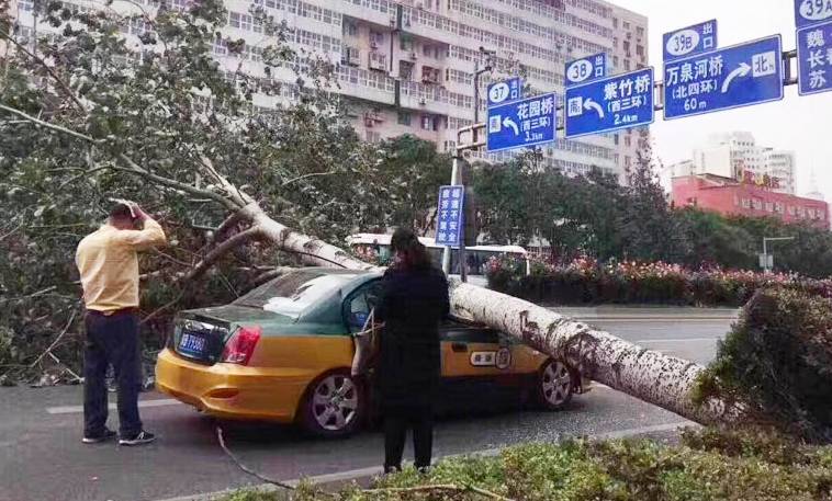 鑫磊彩钢房_鑫建彩钢房_彩钢房生产厂