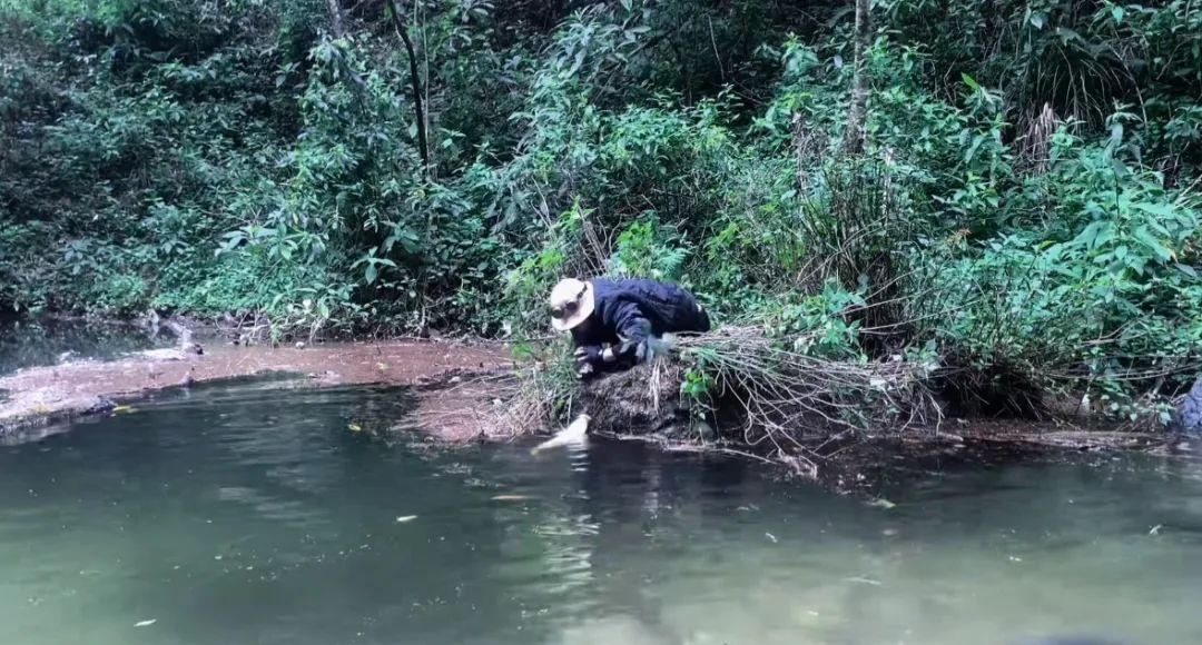 _云南哀牢山自然保护区_云南哀牢山死人之谜