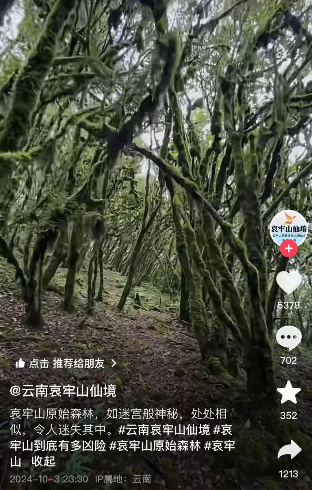 云南哀牢山自然保护区_云南哀牢山死人之谜_