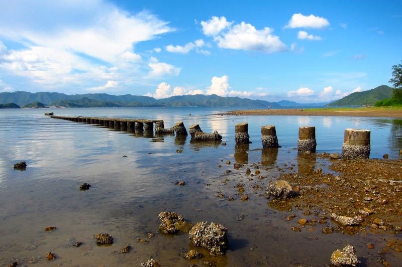 台湾西海岸泥滩百年间消失近六成__台湾西海岸泥滩百年间消失近六成