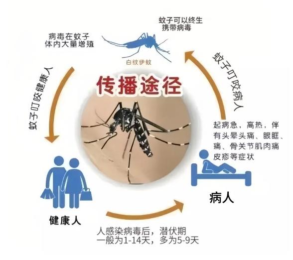 _感染人数猛增_感染人数增加