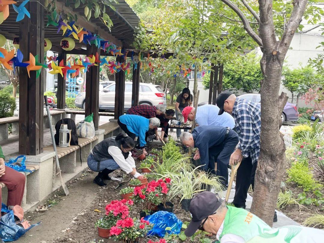 打造“悦花园”，共绘社区美丽画卷_打造“悦花园”，共绘社区美丽画卷_