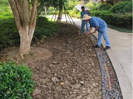 中山市路灯_中山市路灯维修电话是多少_