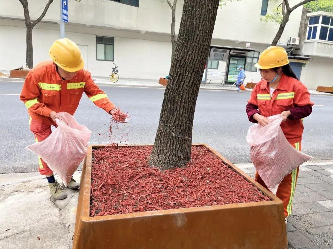 行道树树池铺环保材料__行道树坑处理