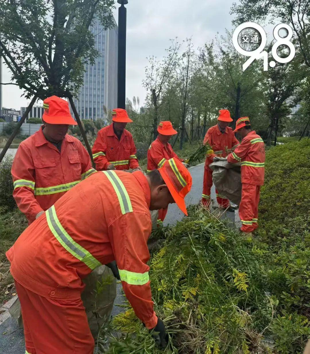 绝对有害！杭州人快自查！紧急提醒：不要养，不要养！_绝对有害！杭州人快自查！紧急提醒：不要养，不要养！_