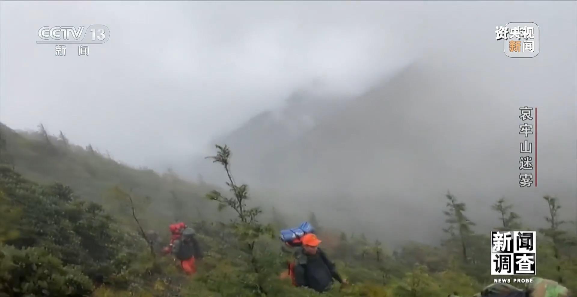 新闻调查丨想你的风吹到了哀牢山 这是一座怎样的山？_新闻调查丨想你的风吹到了哀牢山 这是一座怎样的山？_