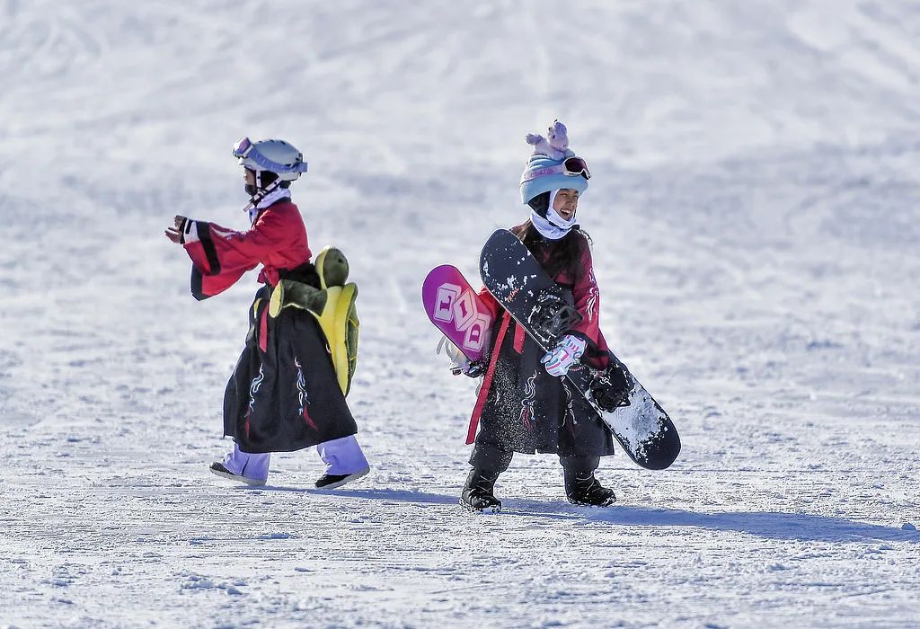 暴雪北方公司_北方暴雪为什么被关闭_