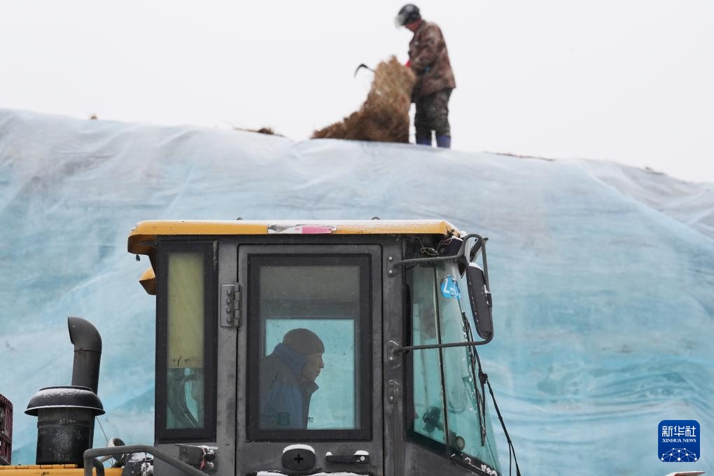 哈尔滨冰雪建造节__哈尔滨冰雪宣传片