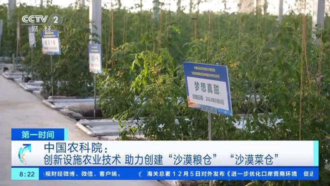 南网电科院几年能买房_国网电科院科东_