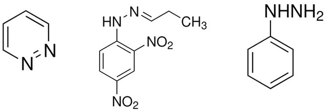 催化剂固定化技术_催化剂固载方法_