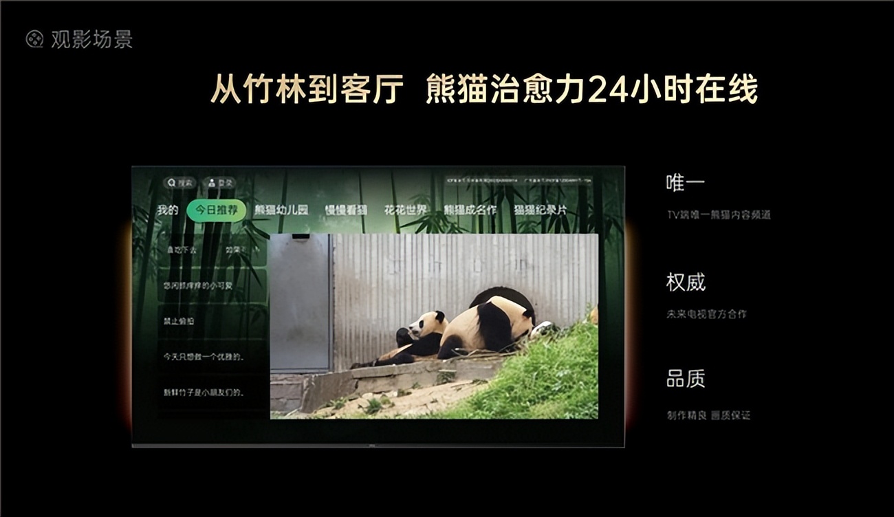 熊猫白天睡还是晚上睡__熊猫白天都在睡觉吗
