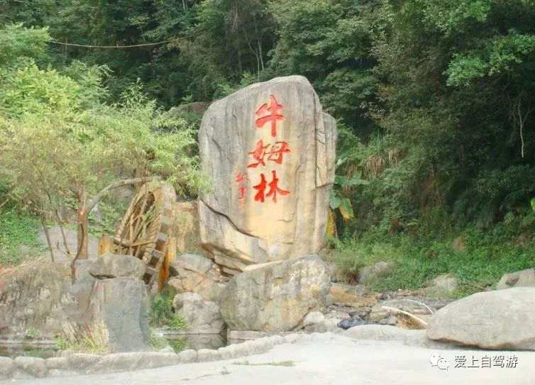 沙县淘金山风景图片_沙县淘金山旅游攻略_沙县淘金山景点介绍