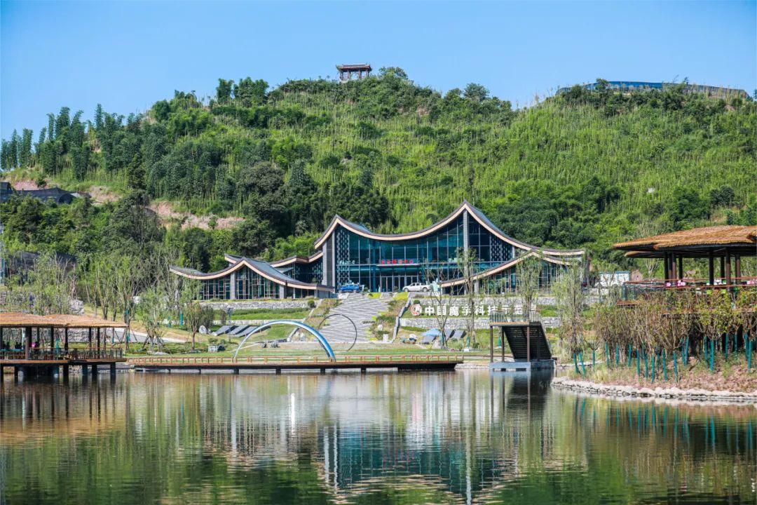 沐川竹海游玩攻略_沐川竹海门票价格_沐川竹海旅游攻略