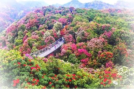 国内夏季旅游胜地_夏季旅游景点排行国内_国内夏季旅游景点排行前十对比