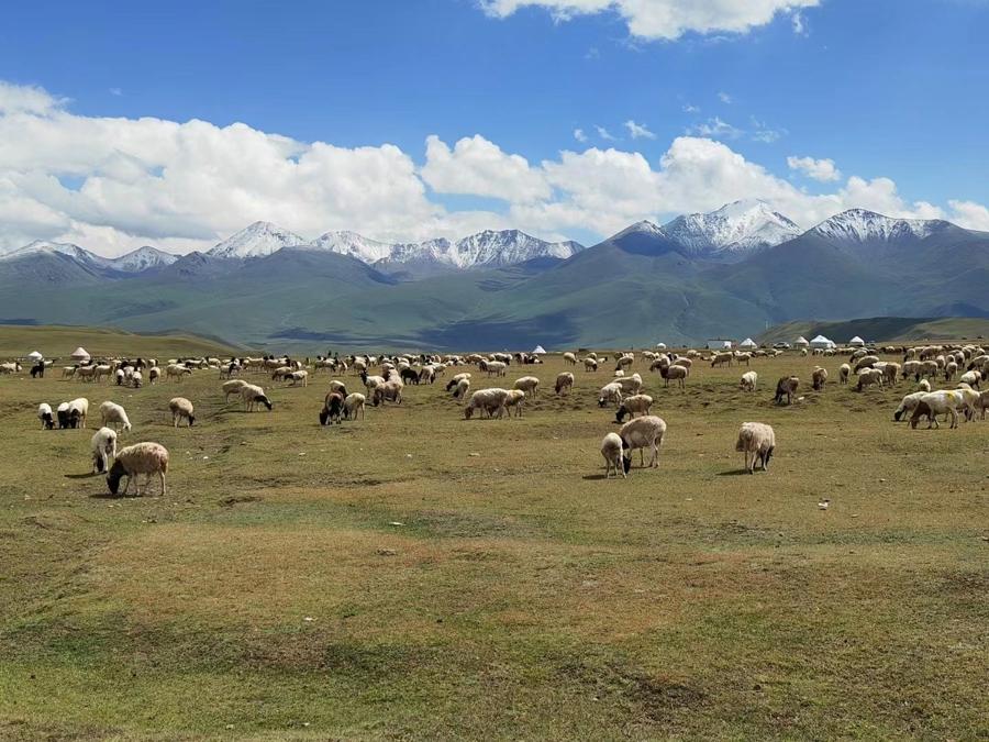 国庆假期 出国旅游_国庆节出国_国庆节出国旅游