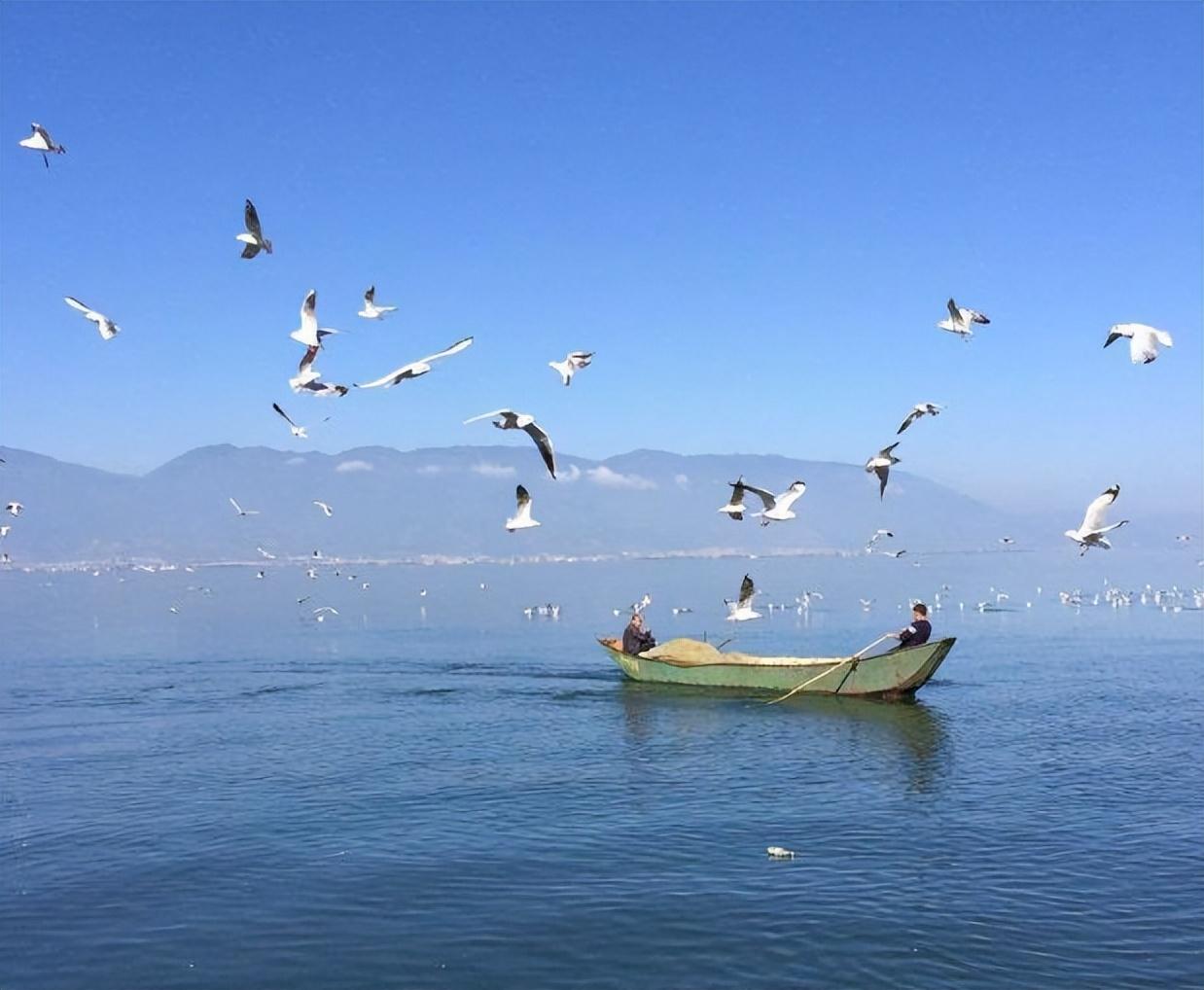 大理旅游攻略必去景点双廊_大理双廊旅游自驾游攻略_大理双廊自由行推荐