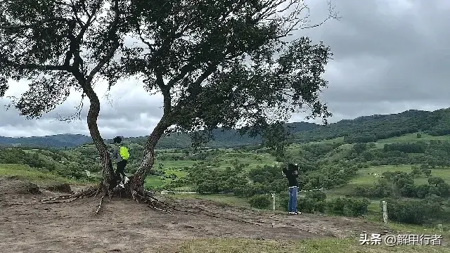 北戴河旅游攻略住宿_北戴河景区住宿_北戴河旅游住宿最佳位置