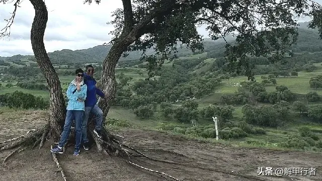 北戴河旅游住宿最佳位置_北戴河旅游攻略住宿_北戴河景区住宿